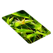 Vogel van het Paradijs Magneet (Rechterzijde)