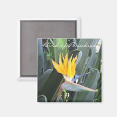Vogel van het Paradijs Magneet (Voorkant / Achterkant)