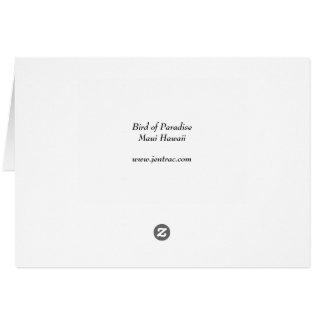 Vogel van het Paradijs - Maui Hawaii