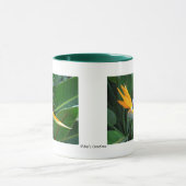 Vogel van het Paradijs Mok (Midden)