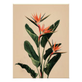 Vogel van het Paradijs Perfect Poster (Voorkant)