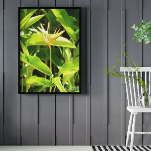 Vogel van het Paradijs Perfect Poster