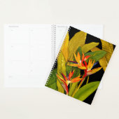 Vogel van het Paradijs Planner (Display)