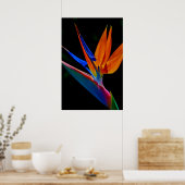 Vogel van het Paradijs Poster (Keuken)