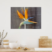 Vogel van het Paradijs Poster (Keuken)