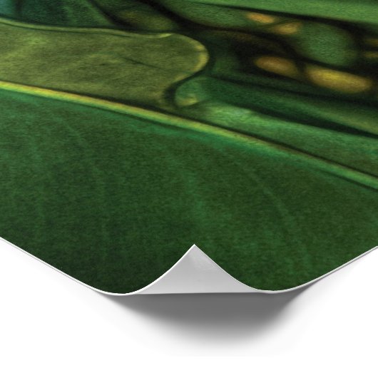 Vogel van het paradijs poster (Hoek)