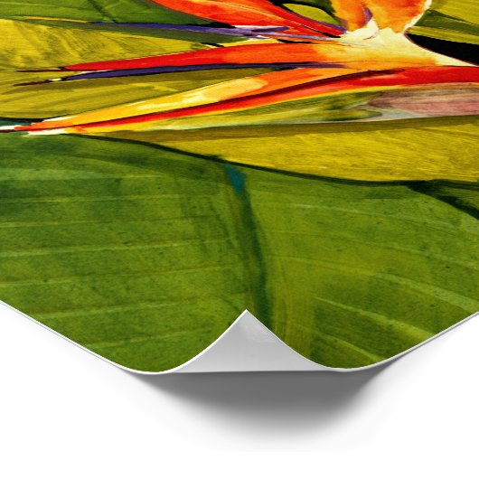 Vogel van het Paradijs Poster (Hoek)