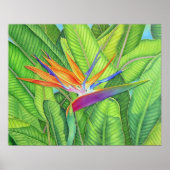 Vogel van het Paradijs Poster (Voorkant)