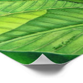 Vogel van het Paradijs Poster (Hoek)