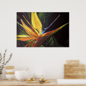 Vogel van het Paradijs Poster (Keuken)