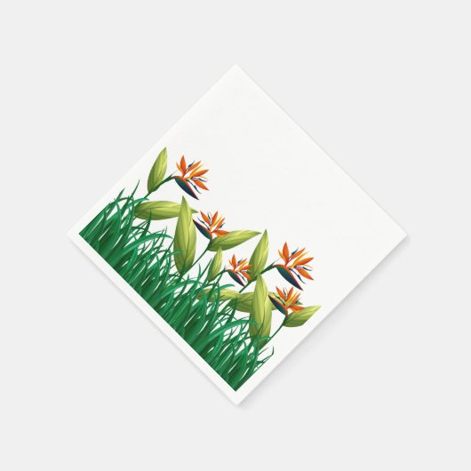 Vogel van het Paradijs Servet (Hoek)