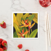 Vogel van het Paradijs Servet (Insitu)