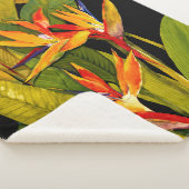 Vogel van het Paradijs Sherpa Deken (3/4)