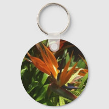 Vogel van het paradijs