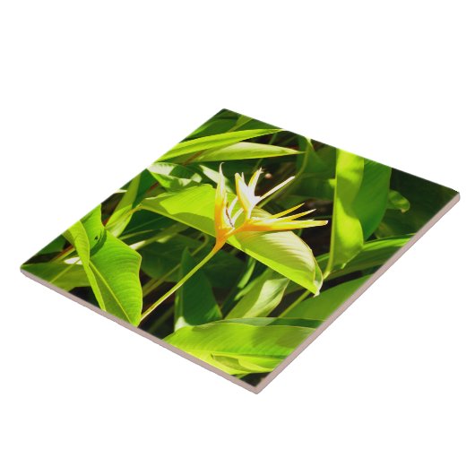 Vogel van het Paradijs Tegeltje (Zijkant)