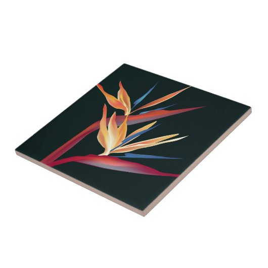 Vogel van het Paradijs Tegeltje (Zijkant)