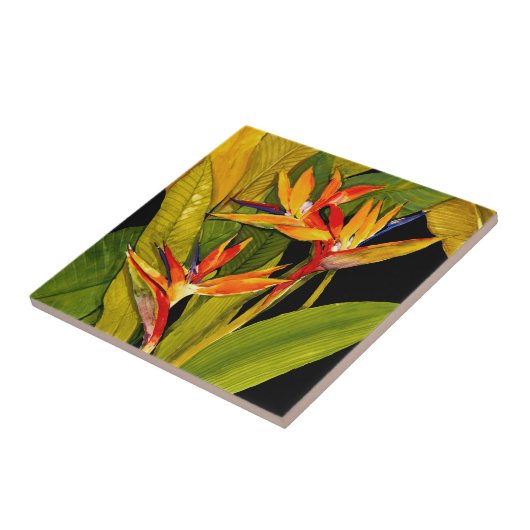 Vogel van het Paradijs Tegeltje (Zijkant)