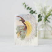 Vogel van het Paradijs, uit de "vogels van Nieuw-G Briefkaart (Staand voorkant)
