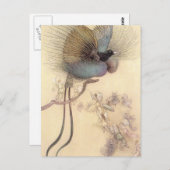 Vogel van het Paradijs van het Briefkaart Warwick  (Voorkant / Achterkant)