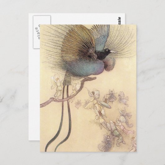 Vogel van het Paradijs van het Briefkaart Warwick (Voorkant / Achterkant)