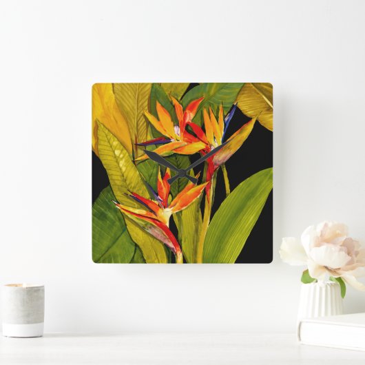 Vogel van het Paradijs Vierkante Klok (Huis)