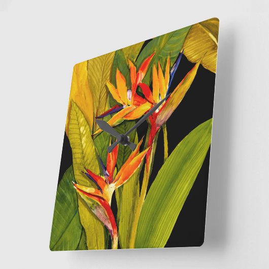 Vogel van het Paradijs Vierkante Klok (Hoek)