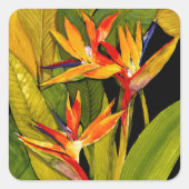 Vogel van het Paradijs Vierkante Sticker (Voorkant)
