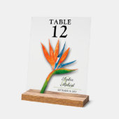 Vogel van het paradijselijk weddenschapsnummer acryl bord (Hoek)