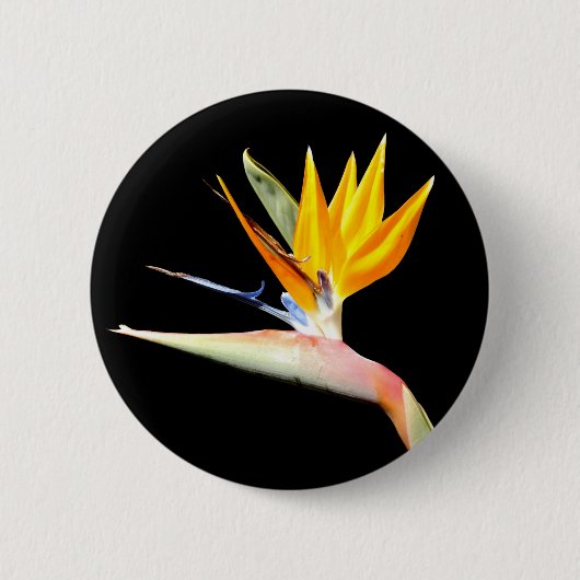 Vogel van het Paradise Plant Badge Ronde Button 5,7 Cm (Voorkant)