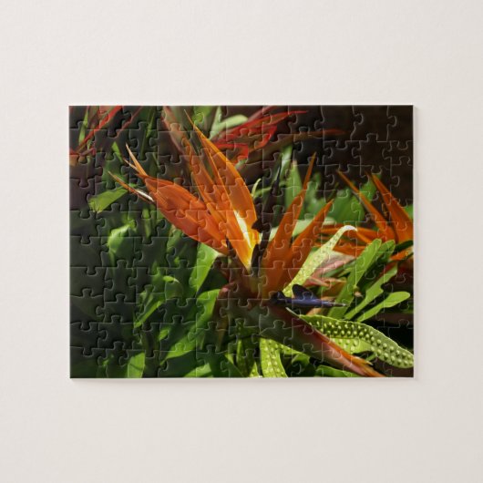 Vogel van het Paradise Puzzle Legpuzzel (Horizontaal)