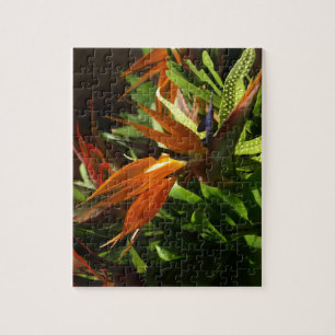 Vogel van het Paradise Puzzle Legpuzzel