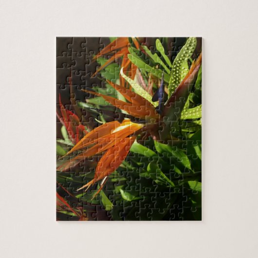Vogel van het Paradise Puzzle Legpuzzel (Verticaal)