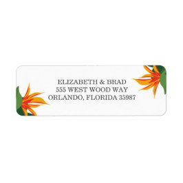 Vogel van het Paradise Tropical Beach Wedding Etiket