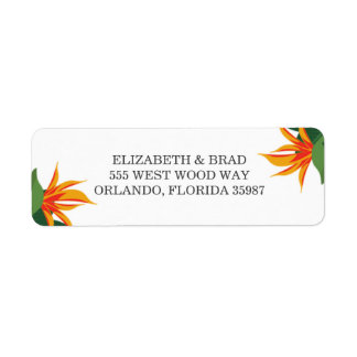 Vogel van het Paradise Tropical Beach Wedding Etiket