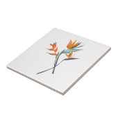 Vogel van het Paradise Tropical Tegeltje (Zijkant)