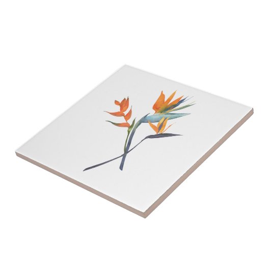 Vogel van het Paradise Tropical Tegeltje (Zijkant)