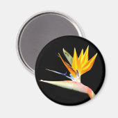 Vogel van het Plant van het Paradijs Magnet (Voorkant / Achterkant)