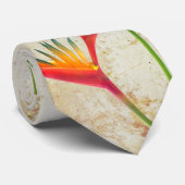 Vogel van het Stropdas van Paradise (Opgerold)