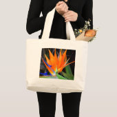 Vogel van het tas van Paradise (Voorkant (product))
