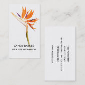 Vogel van het Visitekaartje van Paradise (Voorkant / Achterkant)