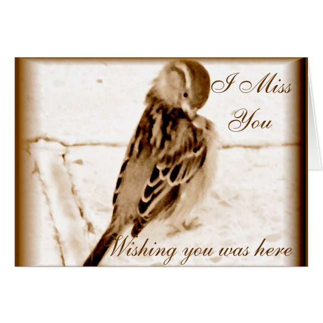 Vogel van liefde_ (Voorkant Horizontaal)