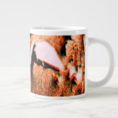 Vogel van Mars Grote Koffiekop (Rechts)