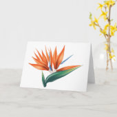 Vogel van paradijs, exotische strelitzia-bloem kaart (Gele Bloem)