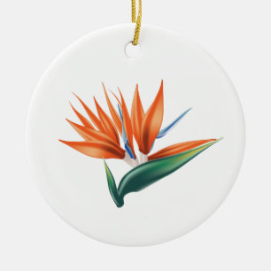 Vogel van paradijs, exotische strelitzia-bloem keramisch ornament