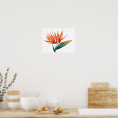 Vogel van paradijs, exotische strelitzia-bloem poster (Keuken)