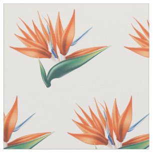 Vogel van paradijs, exotische strelitzia-bloem stof