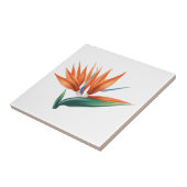Vogel van paradijs, exotische strelitzia-bloem tegeltje (Zijkant)
