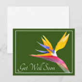 Vogel Van Paradijs Groene Achtergrond Beterschap Briefkaart (Voorkant / Achterkant)