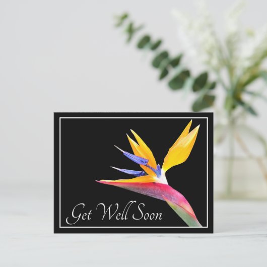 Vogel Van Paradijs Zwarte Achtergrond Beterschap Briefkaart (Staand voorkant)