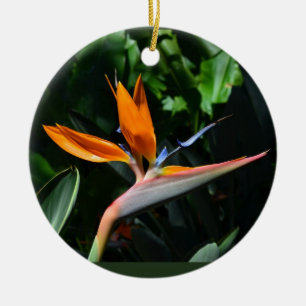Vogel van paradijssierplant keramisch ornament